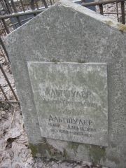 Альтшулер Даниил Григорьевич, Москва, Востряковское кладбище