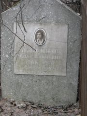 Бейлинсон Рива Хаймовна, Москва, Востряковское кладбище