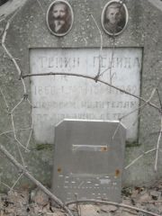 Генин Я. Н., Москва, Востряковское кладбище
