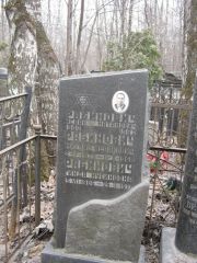 Рабинович Михаил Исаакович, Москва, Востряковское кладбище