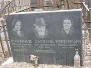 Злотник Ион Иосифович, Москва, Востряковское кладбище