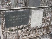 Гольдштейн Ася Соломоновна, Москва, Востряковское кладбище