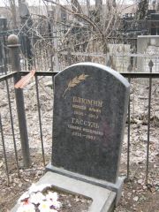 Блюмин Моисей Ильич, Москва, Востряковское кладбище