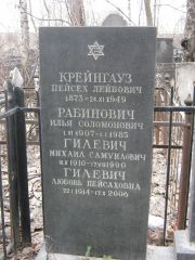 Рабинович Илья Соломонович, Москва, Востряковское кладбище