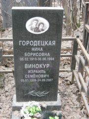 Винокур Израиль Семенович, Москва, Востряковское кладбище