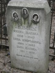 Левина Цива Шмуйловна, Москва, Востряковское кладбище