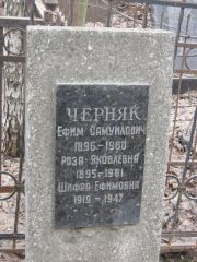 Черняк Ефим Самуилович, Москва, Востряковское кладбище