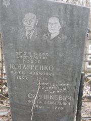 Смушкевич Фейга Зайвелевна, Москва, Востряковское кладбище