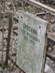 Бродкин Ефим Иосифович, Москва, Востряковское кладбище