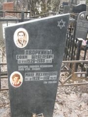 Дворкин Ефим Шевелевич, Москва, Востряковское кладбище