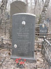 Розенблит Шмуль Шаевич, Москва, Востряковское кладбище