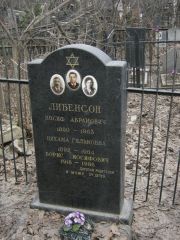 Либенсон Иосиф Абрамович, Москва, Востряковское кладбище