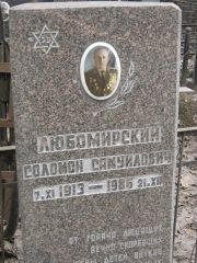 Любомирский Соломон Самуилович, Москва, Востряковское кладбище