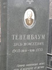 Тененбаум Зусь Моисеевич, Москва, Востряковское кладбище