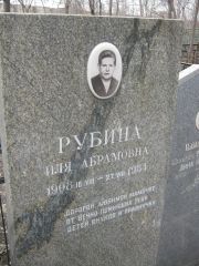 Рубина Иля Абрамовна, Москва, Востряковское кладбище