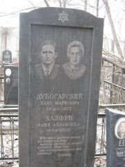 Халфун Фаня Абрамовна, Москва, Востряковское кладбище