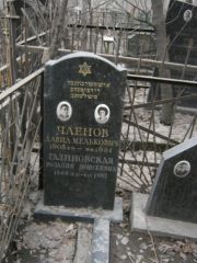 Членов Давид Мелькович, Москва, Востряковское кладбище