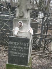Розенблит Нусь Шимкович, Москва, Востряковское кладбище