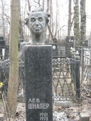 Шнапер Лев , Москва, Востряковское кладбище