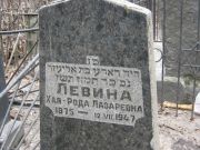 Левина Хая-Рода лазаревна, Москва, Востряковское кладбище