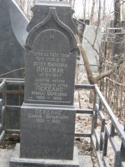 Пекелис Мниха Берковна, Москва, Востряковское кладбище