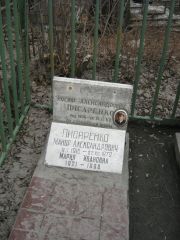 Писаренко Иосиф Александрович, Москва, Востряковское кладбище