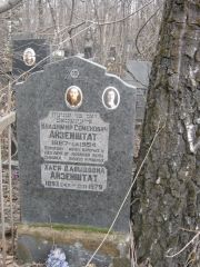 Айзенштат Владимир Семенович, Москва, Востряковское кладбище
