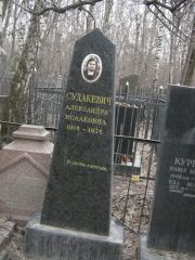 Судакевич Александра Исааковна, Москва, Востряковское кладбище