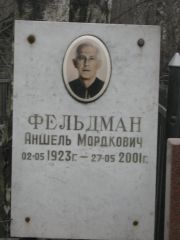 Фельдман Аншель Мордкович, Москва, Востряковское кладбище