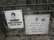 Лейбман Абрам Павлович, Москва, Востряковское кладбище