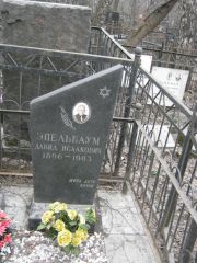 Эпельбаум Давид Исаакович, Москва, Востряковское кладбище