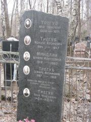 Трегуб Яха Хоновна, Москва, Востряковское кладбище