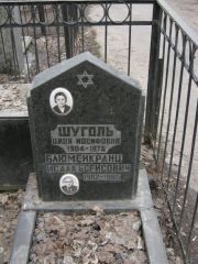 Шуголь Циля Иосифовна, Москва, Востряковское кладбище