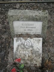 Козлова Лея Нуховна, Москва, Востряковское кладбище