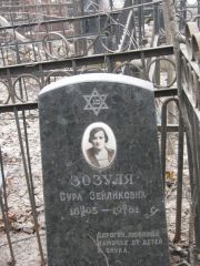 Зозуля Сура Зейликовна, Москва, Востряковское кладбище