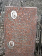 Литвин Тевий Израилевич, Москва, Востряковское кладбище