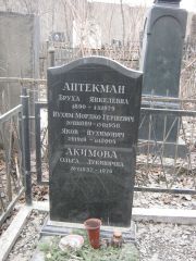 Аптекман Бруха Янкелевна, Москва, Востряковское кладбище
