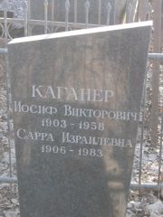 Каганер Иосиф Викторович, Москва, Востряковское кладбище