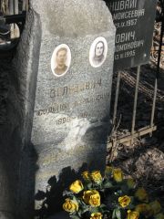 Зельдович Соломон Лазаревич, Москва, Востряковское кладбище