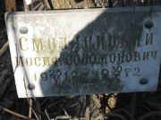 Смоляницкий Иосиф Соломонович, Москва, Востряковское кладбище