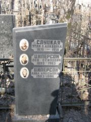 Циперсон Лев Осипович, Москва, Востряковское кладбище