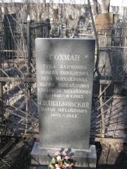 Гохман Туба Хаимовна, Москва, Востряковское кладбище