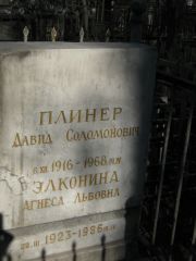 Элконина Агнеса Львовна, Москва, Востряковское кладбище