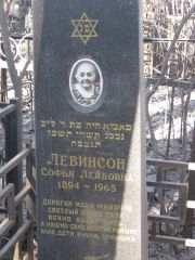 Левинсон Софья Лейбовна, Москва, Востряковское кладбище