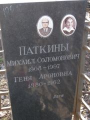 Паткина Геня Ароновна, Москва, Востряковское кладбище