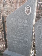 Бляхман Даниил Моисеевич, Москва, Востряковское кладбище