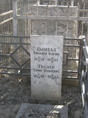 Теслер Ефим Яковлевич, Москва, Востряковское кладбище
