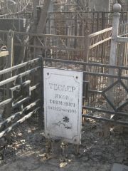 Теслер Яков Ефимович, Москва, Востряковское кладбище