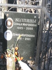 Колпина Софья Мироновна, Москва, Востряковское кладбище