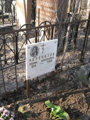 Черепахов Ханан Иосифович, Москва, Востряковское кладбище
